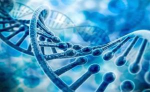 銳翌生物獲近億元A輪融資，魯信創(chuàng)投領(lǐng)投加速生物研發(fā)新突破