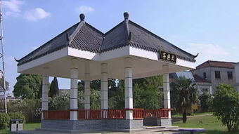 《有巢故里·山水畫廊》壩鎮(zhèn)紀(jì)實(shí)專題片本周五登陸瑞軒畫廊
